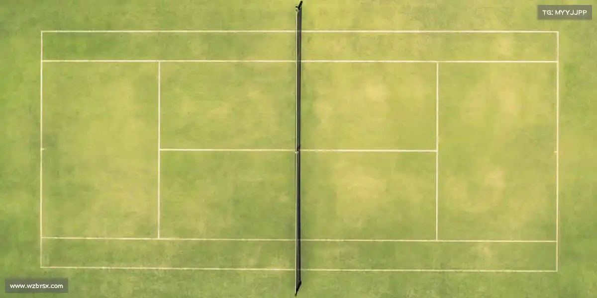 米乐电竞——🌟运动点亮生活，品质铸就未来 —— 你的体育官网，值得信赖！​